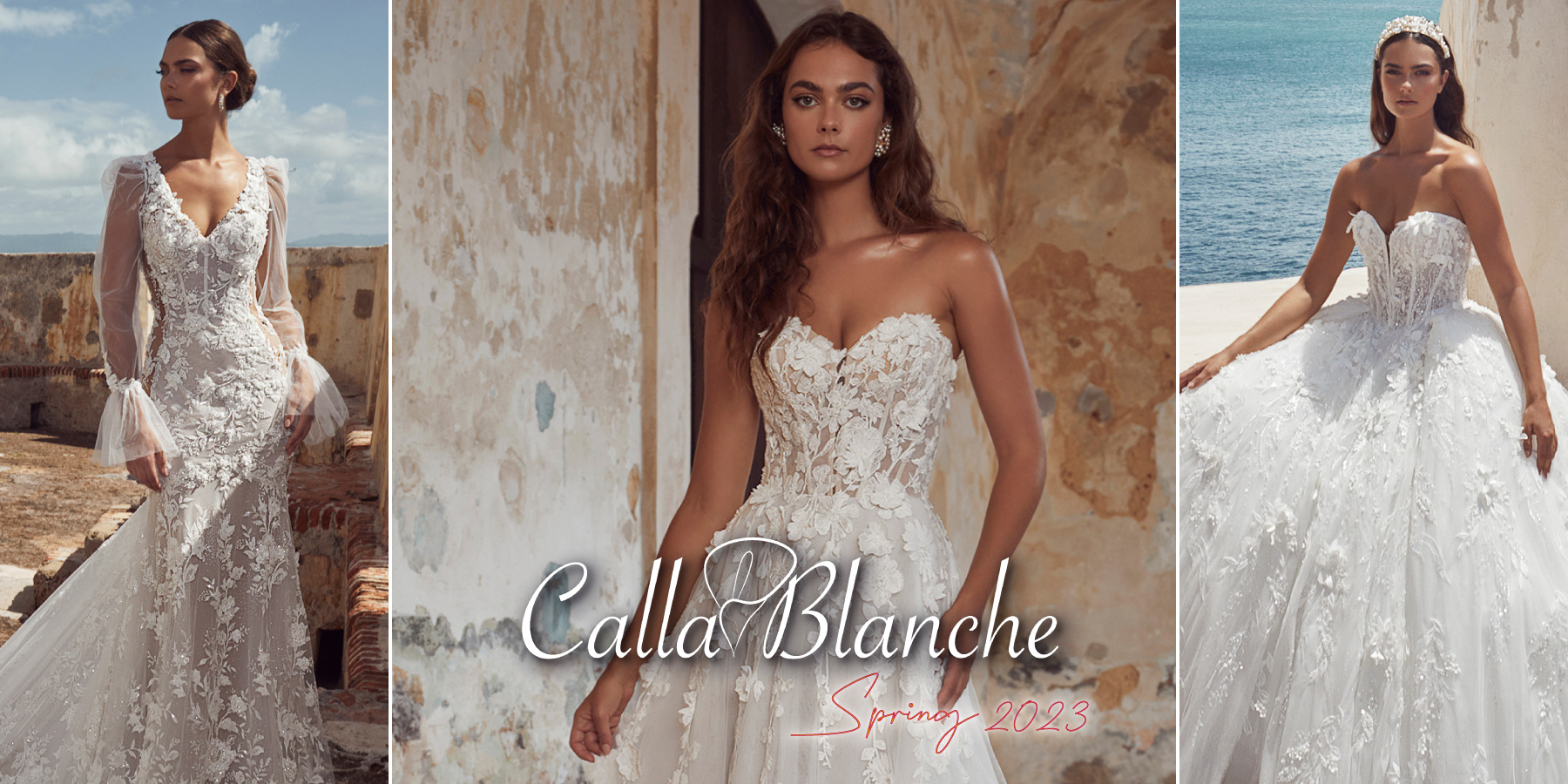 Calla Blanche Wedding Dresses in the United States | The Dressfinder