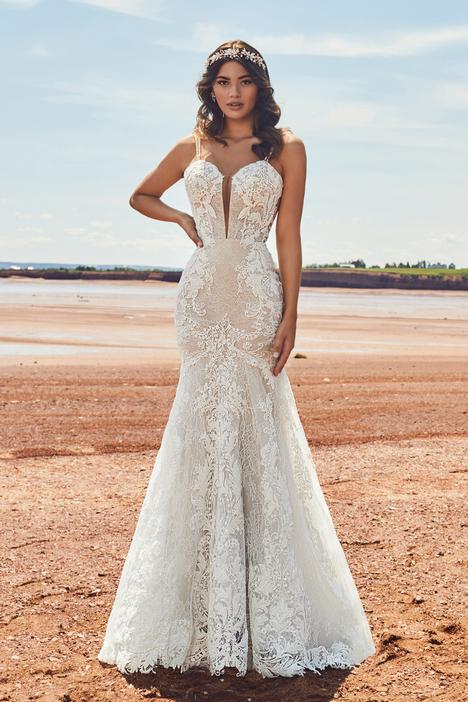 calla blanche prices