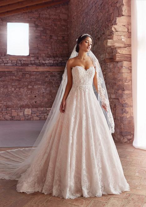 White One Wedding Dresses in Canada The Dressfinder