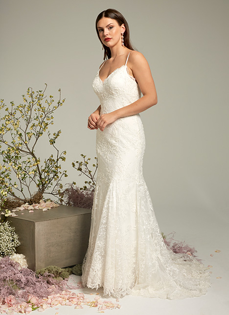 Ivy Aster Wedding Dresses In The Us Canada The Dressfinder